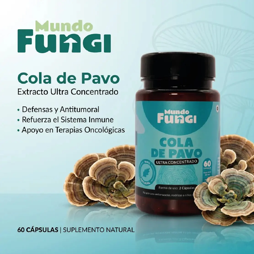 Cola de Pavo - Defensas y Antitumoral