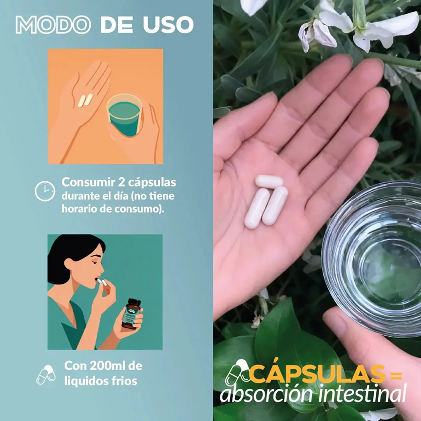 Cola de Pavo - Defensas y Antitumoral
