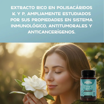 Cola de Pavo - Defensas y Antitumoral