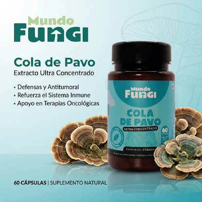 Cola de Pavo - Defensas y Antitumoral