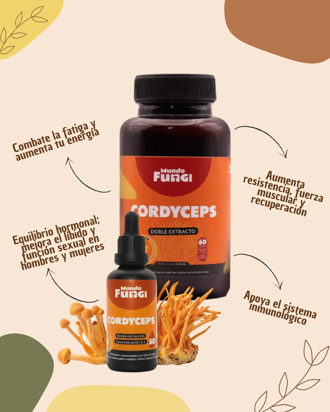 Cordyceps - Energía y Oxigenación