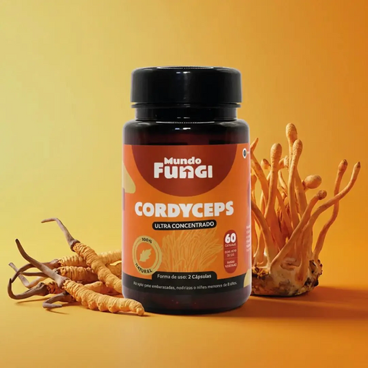 CORDYCEPS CÁPSULAS MUNDO FUNGI