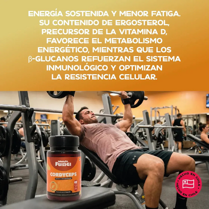 Cordyceps - Energía y Oxigenación