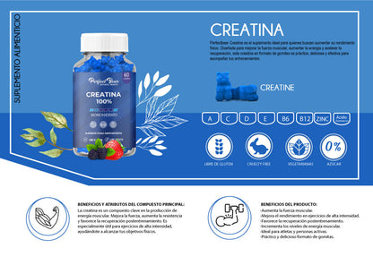 PACK x3 CREATINAS PERFECT BEAR