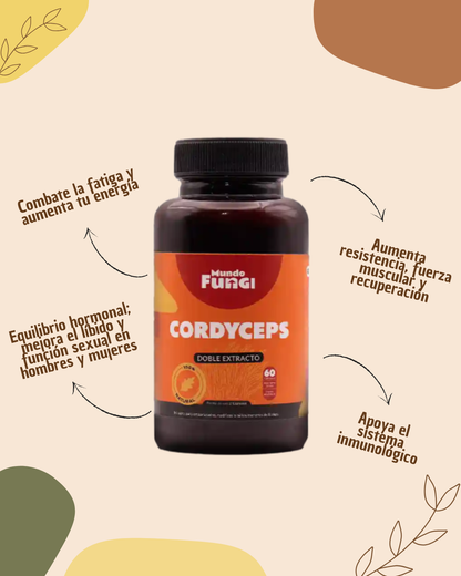 CORDYCEPS MUNDO FUNGI