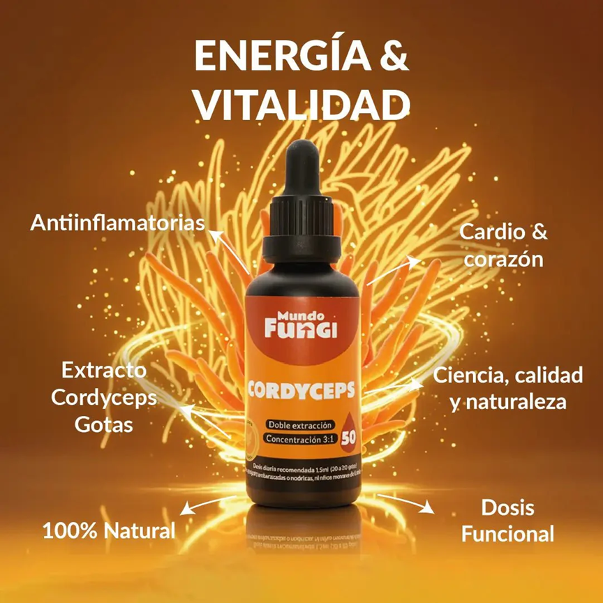 Cordyceps - Energía y Oxigenación