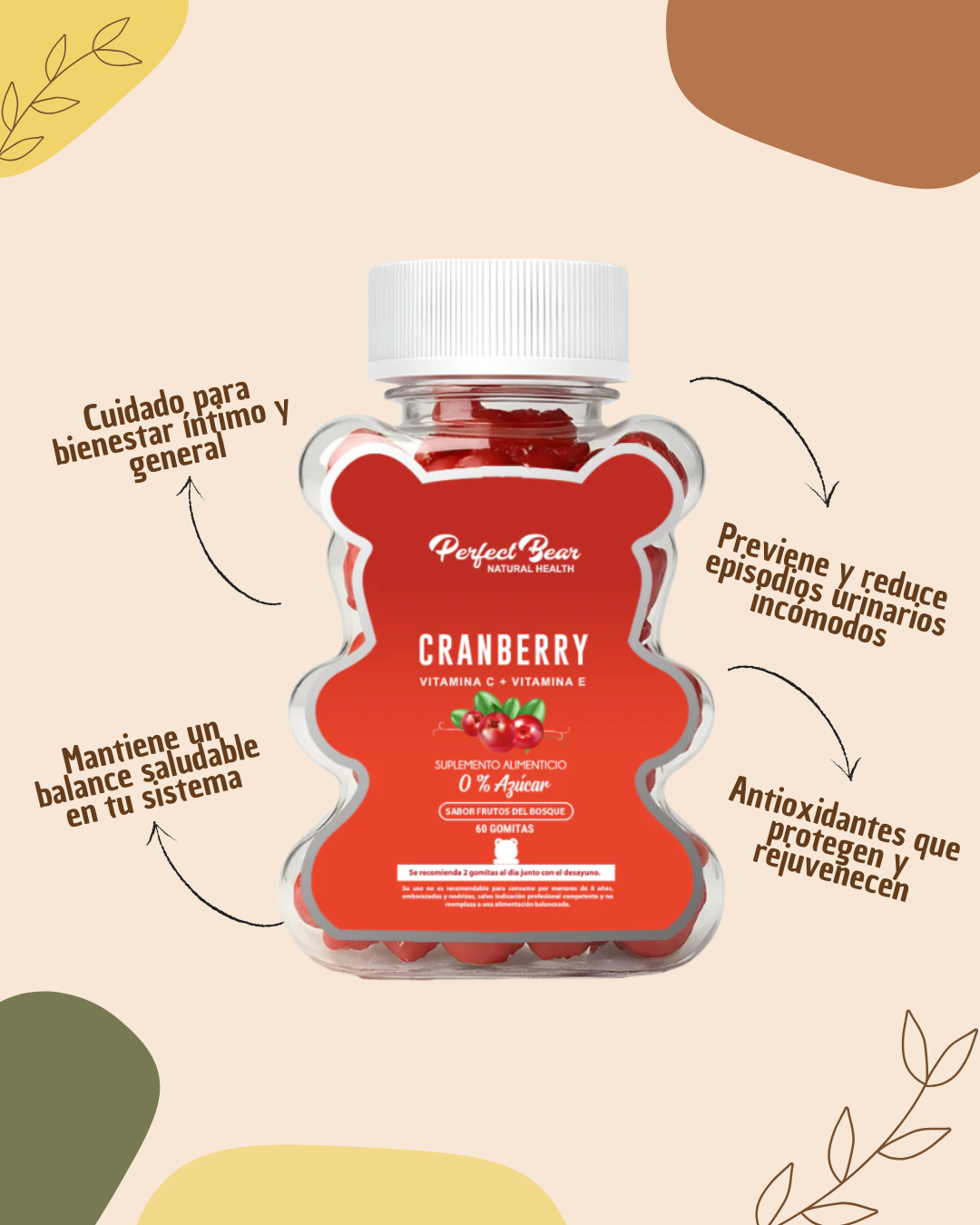 CRANBERRY PERFECT BEAR