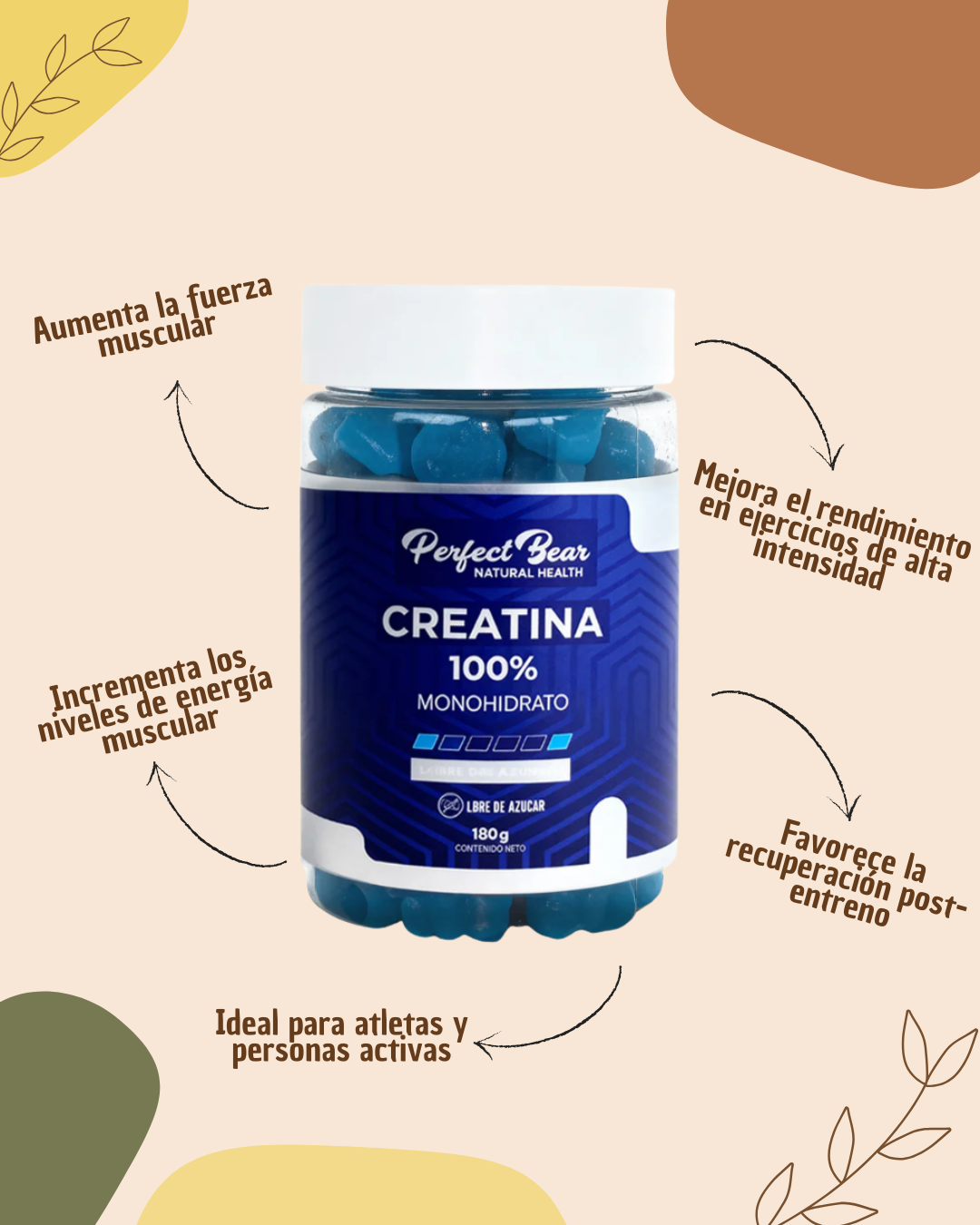 CREATINA PERFECT BEAR