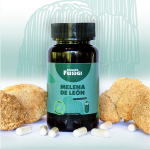 MELENA DE LEÓN MUNDO FUNGI