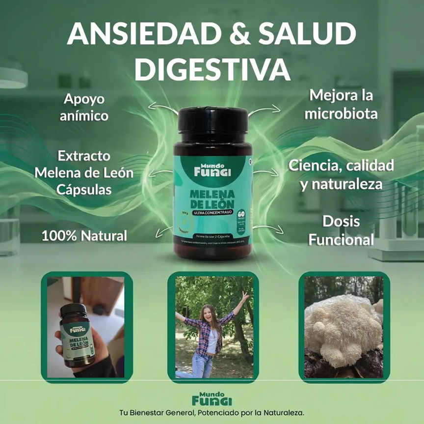Melena de León - Ansiedad y Salud Digestiva