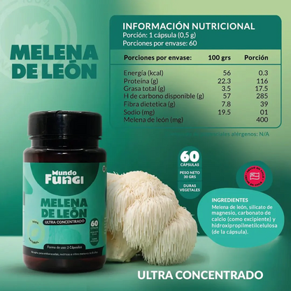 Melena de León - Ansiedad y Salud Digestiva