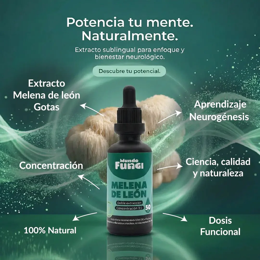 Melena de León - Ansiedad y Salud Digestiva