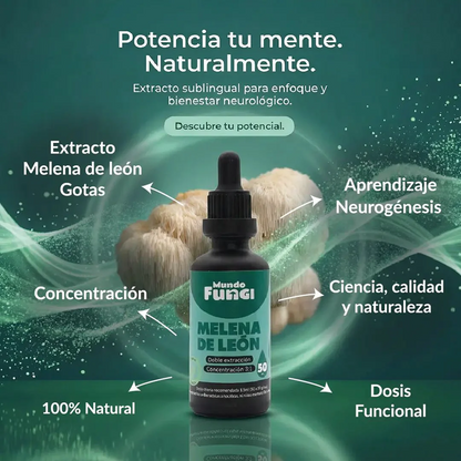 Melena de León - Ansiedad y Salud Digestiva