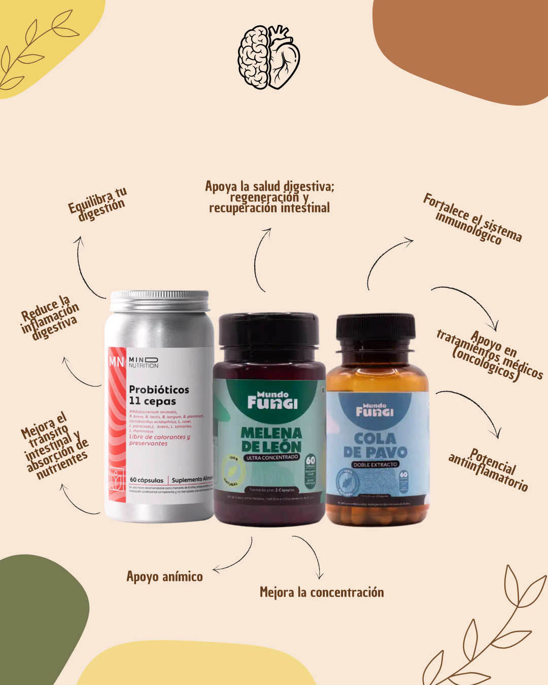 FORTALEZA FÍSICA Y MENTAL