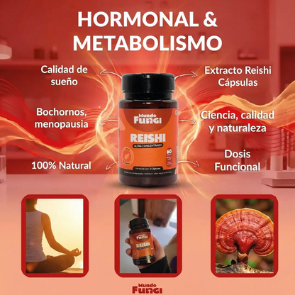 Reishi - Hormonal y Metabolismo