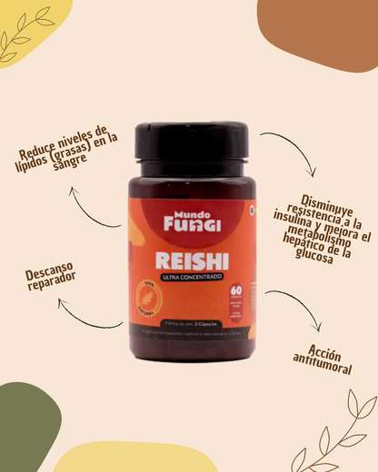 REISHI MUNDO FUNGI