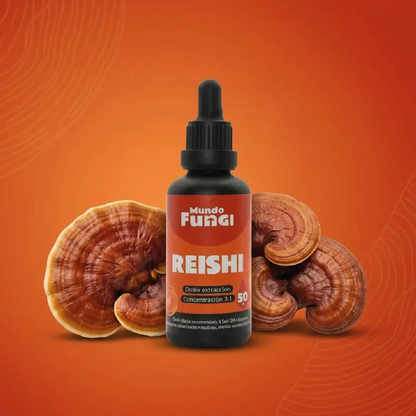 Reishi - Hormonal y Metabolismo