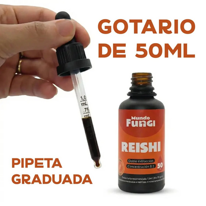 Reishi - Hormonal y Metabolismo
